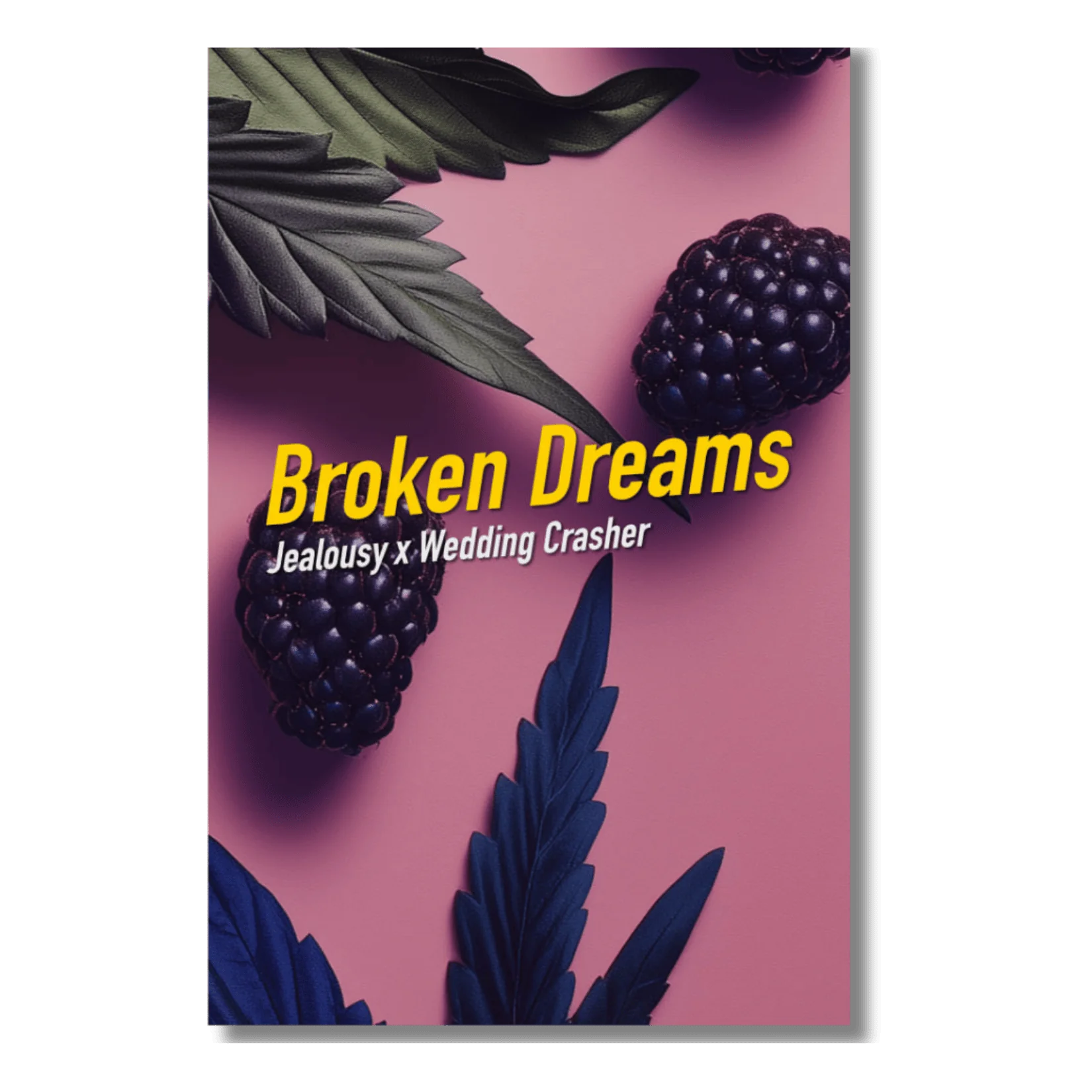 Broken Dreams